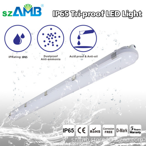 LED light IP66 TUV UL CUL listed waterproof